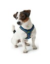 Arnés para Perro Hunter Hilo-Comfort Azul Talla M/L (58-63 cm) | Tienda24 Tienda24.eu