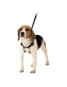 Harnais pour Chien Gloria 30-42 cm Taille M | Tienda24 Tienda24.eu