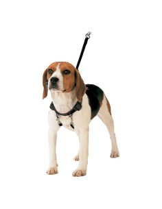 Arnés para Perro Red Dingo Liso 60-109 cm Rosa | Tienda24 Tienda24.eu