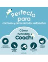 Dog Lead Coachi Training Blue | Tienda24 Tienda24.eu