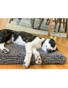 Dog Bed Dog Gone Smart 48 x 61 cm Grey | Tienda24 Tienda24.eu