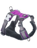 Imbracatura per Cani Red Dingo Dingo 25-36 cm 31-43 cm Viola XS da Red Dingo, Imbracature - Ref: S6104230, Precio: 23,87 €, D...