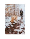 Collare per Cani Hunter Convenience 53-61 cm L/XL Arancio da Hunter, Collari - Ref: S6104253, Precio: €13.85, Descuento: %