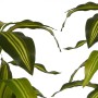 Decorative Plant Wide leaf Green Plastic (70 x 120 x 70 cm) | Tienda24 - Global Online Shop Tienda24.eu