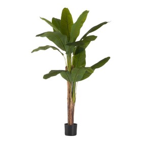 Decorative Plant DKD Home Decor Wood Polyethylene 32 x 14 x 19,5 cm (2 Units) | Tienda24 - Global Online Shop Tienda24.eu