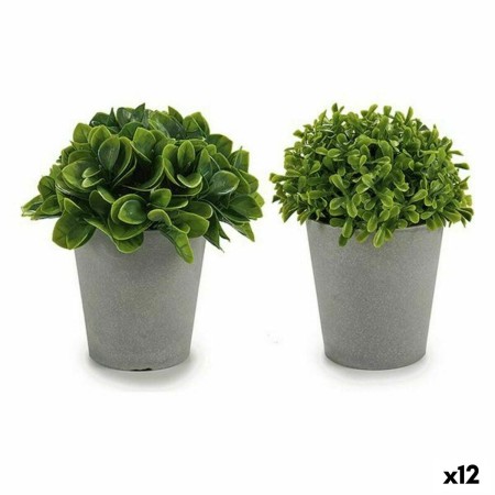 Decorative Plant Plastic 13 x 17 x 13 cm (12 Units) | Tienda24 - Global Online Shop Tienda24.eu