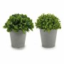 Decorative Plant Plastic 13 x 17 x 13 cm (12 Units) | Tienda24 - Global Online Shop Tienda24.eu