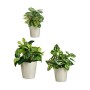 Set of pots Grey Clay (6 Units) by Ibergarden, Flower Pots - Ref: S3616780, Price: 42,99 €, Discount: %