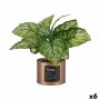 Decorative Plant Home Copper Can (26 x 26 x 26 cm) (6 Units) by Ibergarden, Artificial Plants - Ref: S3617837, Price: 50,47 €...