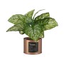 Decorative Plant Home Copper Can (26 x 26 x 26 cm) (6 Units) by Ibergarden, Artificial Plants - Ref: S3617837, Price: 50,47 €...