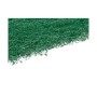 Set of scourers Green Abrasive fibre 11,3 X 15,7 X 0,5 cm (22 Units) | Tienda24 - Global Online Shop Tienda24.eu