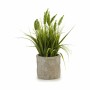 Decorative Plant Ear (of wheat) Plastic 12 x 30 x 12 cm (8 Units) | Tienda24 - Global Online Shop Tienda24.eu