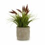 Decorative Plant Ear (of wheat) Plastic 12 x 30 x 12 cm (8 Units) | Tienda24 - Global Online Shop Tienda24.eu