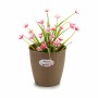 Planter Stefanplast Brown Plastic 19 x 17,5 x 19 cm (12 Units) by Stefanplast, Cachepots - Ref: S3623601, Price: 27,78 €, Dis...