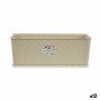 Planter Stefanplast Beige Plastic 17,5 x 16 x 48,5 cm (12 Units) by Stefanplast, Window Boxes - Ref: S3623608, Price: 59,73 €...