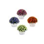 Decorative Flower Bunch Plastic 14 x 12 x 14 cm (12 Units) by Ibergarden, Artificial Flowers - Ref: S3623828, Price: 32,89 €,...