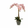 Dekorationspflanze Orchidee Kunststoff 29 x 78 x 35 cm (2 Stück) | Tienda24 - Global Online Shop Tienda24.eu