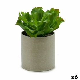 Plante décorative 20 x 25 x 20 cm (6 Unités) de Ibergarden, Plantes artificielles - Réf : S3623998, Prix : 41,04 €, Remise : %