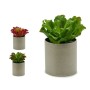 Planta Decorativa 20 x 25 x 20 cm (6 Unidades) de Ibergarden, Plantas - Ref: S3623998, Precio: 41,04 €, Descuento: %