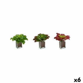 Plante décorative Volets Grand Bicolore Plastique 31 x 24 x 31 cm (6 Unités) de Ibergarden, Plantes artificielles - Réf : S36...