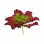 Plante décorative Volets Grand Bicolore Plastique 31 x 24 x 31 cm (6 Unités) de Ibergarden, Plantes artificielles - Réf : S36...