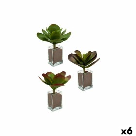 Decorative Plant Plastic 13 x 17 x 13 cm (12 Units) | Tienda24 - Global Online Shop Tienda24.eu