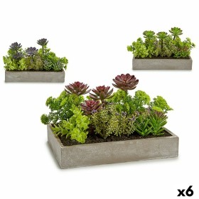 Planta Decorativa Suculenta Plástico Cimento 16,5 x 20 x 28,5 cm (6 Unidades) de Ibergarden, Plantas - Ref: S3624093, Preço: ...