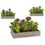 Pianta Decorativa Succulenta Plastica Cemento 16,5 x 20 x 28,5 cm (6 Unità) di Ibergarden, Piante artificiali - Rif: S3624093...