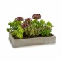 Pianta Decorativa Succulenta Plastica Cemento 16,5 x 20 x 28,5 cm (6 Unità) di Ibergarden, Piante artificiali - Rif: S3624093...