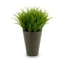 Planta Decorativa Plástico 11 x 18 x 11 cm Verde Cinzento (12 Unidades) de Ibergarden, Plantas - Ref: S3624279, Preço: 26,90 ...