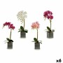 Flor Decorativa Orquídea Plástico 14 x 51 x 18 cm (6 Unidades) de Ibergarden, Flores - Ref: S3624605, Preço: 42,02 €, Descont...