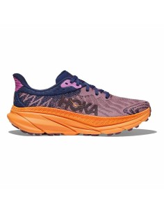 Sapatilhas de Running para Adultos Salomon X-ADVENTURE GTX | Tienda24 Tienda24.eu