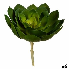 Planta Decorativa 22 x 19 x 19 cm Verde Plástico (6 Unidades) de Ibergarden, Plantas - Ref: S3624950, Preço: 25,30 €, Descont...