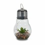 Lantern Garlands Light bulb Cactus Crystal (8 Units) by Gift Decor, Lanterns - Ref: S3625014, Price: 61,07 €, Discount: %