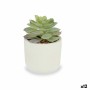 Planta Decorativa Suculenta Plástico 14 x 13,5 x 14 cm (12 Unidades) de Ibergarden, Plantas - Ref: S3626102, Precio: 47,18 €,...