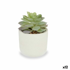 Decorative Plant Succulent Plastic 14 x 13,5 x 14 cm (12 Units) by Ibergarden, Artificial Plants - Ref: S3626102, Price: 47,1...