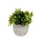 Planta Decorativa Bloemen Plástico 20 x 20,5 x 20 cm (8 Unidades) | Tienda24 - Global Online Shop Tienda24.eu