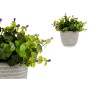 Planta Decorativa Flores Plástico 21 x 20,6 x 21 cm (8 Unidades) de Ibergarden, Plantas - Ref: S3626107, Precio: 49,72 €, Des...