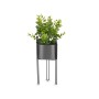 Decorative Plant Eucalyptus Metal Plastic 14 x 40 x 14 cm (8 Units) | Tienda24 - Global Online Shop Tienda24.eu