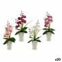 Decorative Flower Orchid Plastic 14 x 35 x 8 cm (12 Units) by Ibergarden, Artificial Flowers - Ref: S3626130, Price: 34,90 €,...