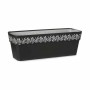 Jardinière auto-arrosante Stefanplast Gaia Anthracite Plastique 49,5 x 17 x 19 cm (12 Unités) de Stefanplast, Jardinières - R...