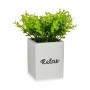 Decorative Plant Sheets Small Plastic Cement 13 x 18 x 13 cm (6 Units) by Ibergarden, Artificial Plants - Ref: S3626266, Pric...