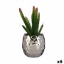 Planta Decorativa Cactus Cerámica Plástico 10 x 20 x 10 cm (6 Unidades) de Ibergarden, Plantas - Ref: S3626268, Precio: 40,96...