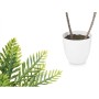 Planta Decorativa Palmera Plástico 36 x 55,5 x 24 cm (6 Unidades) | Tienda24 - Global Online Shop Tienda24.eu