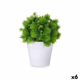 Planta Decorativa Plástico 17 x 19,5 x 17 cm (6 Unidades) de Ibergarden, Plantas - Ref: S3629629, Preço: 22,83 €, Desconto: %