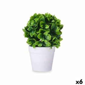 Plante décorative Plastique (6 Unités) de Ibergarden, Plantes artificielles - Réf : S3629631, Prix : 22,83 €, Remise : %