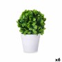 Planta Decorativa Plástico (6 Unidades) de Ibergarden, Plantas - Ref: S3629631, Precio: 22,83 €, Descuento: %