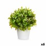 Plante décorative Plastique 17 x 17 cm (6 Unités) de Ibergarden, Plantes artificielles - Réf : S3629633, Prix : 22,78 €, Remi...