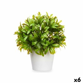 Decorative Plant Plastic 17 x 17 cm (6 Units) by Ibergarden, Artificial Plants - Ref: S3629633, Price: 22,78 €, Discount: %