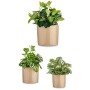 Set di Vasi 3 Pezzi Ø 14 cm Ø 22 cm Ø 17 cm Cilindro Beige | Tienda24 - Global Online Shop Tienda24.eu